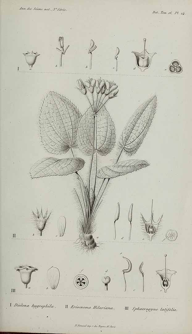 no HD illustration available (3)