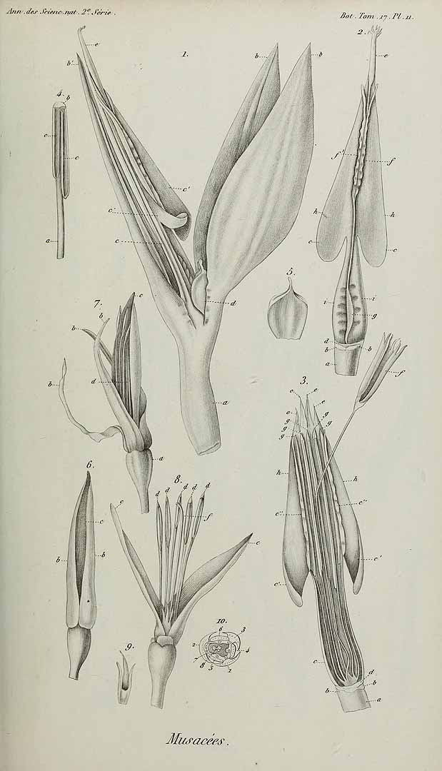 no HD illustration available (3)