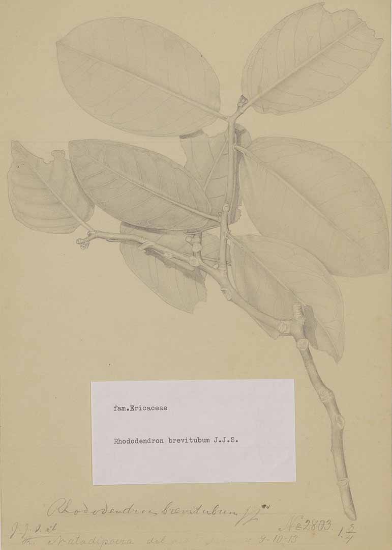 no HD illustration available (3)