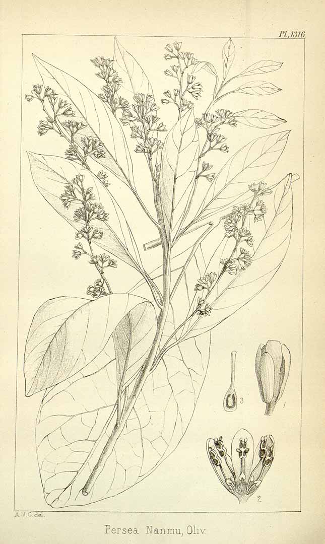 no HD illustration available (3)