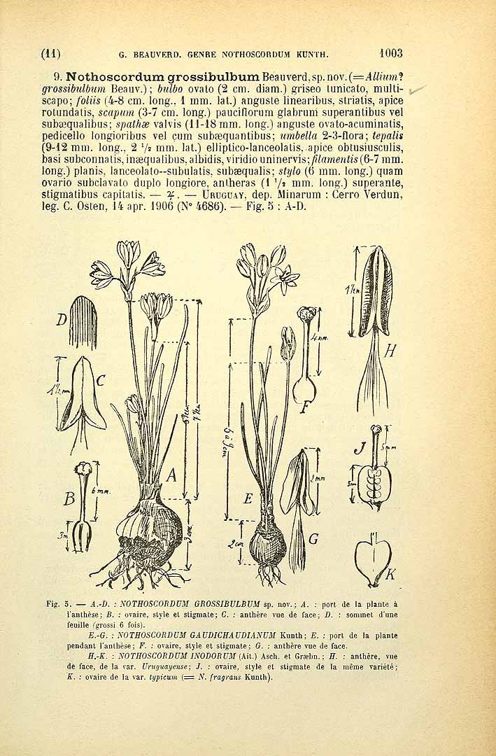 no HD illustration available (3)