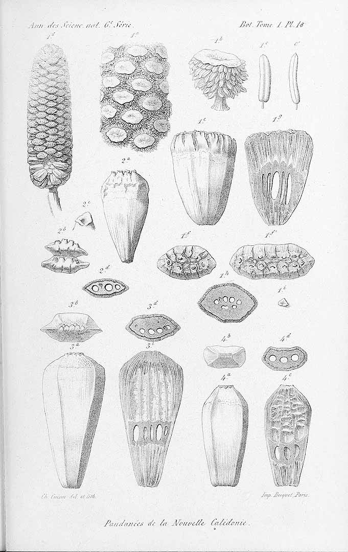 no HD illustration available (3)