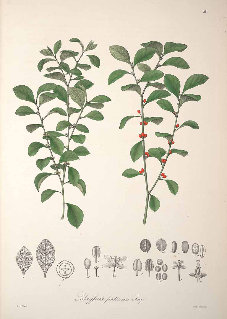 no HD illustration available (3)