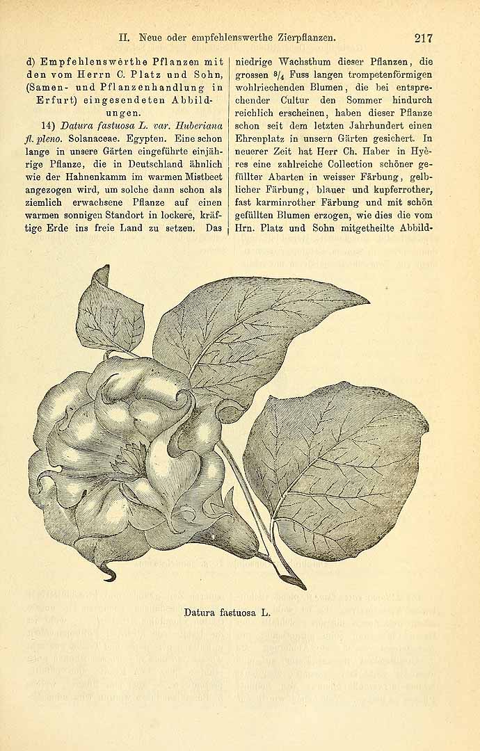 no HD illustration available (3)