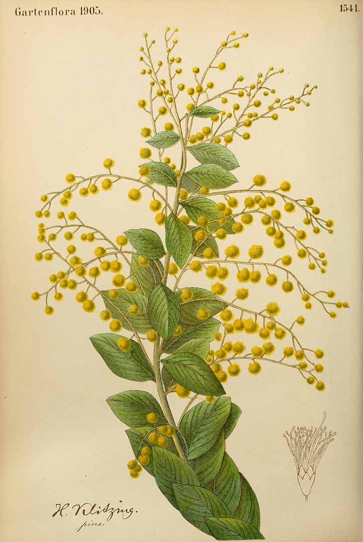 no HD illustration available (3)