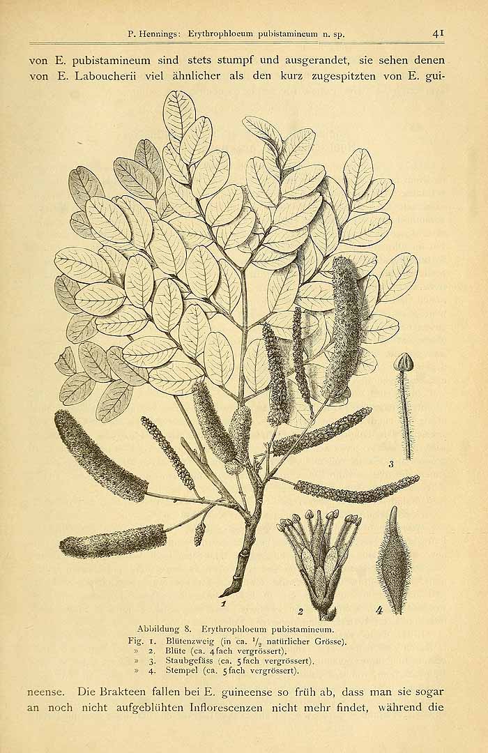 no HD illustration available (3)