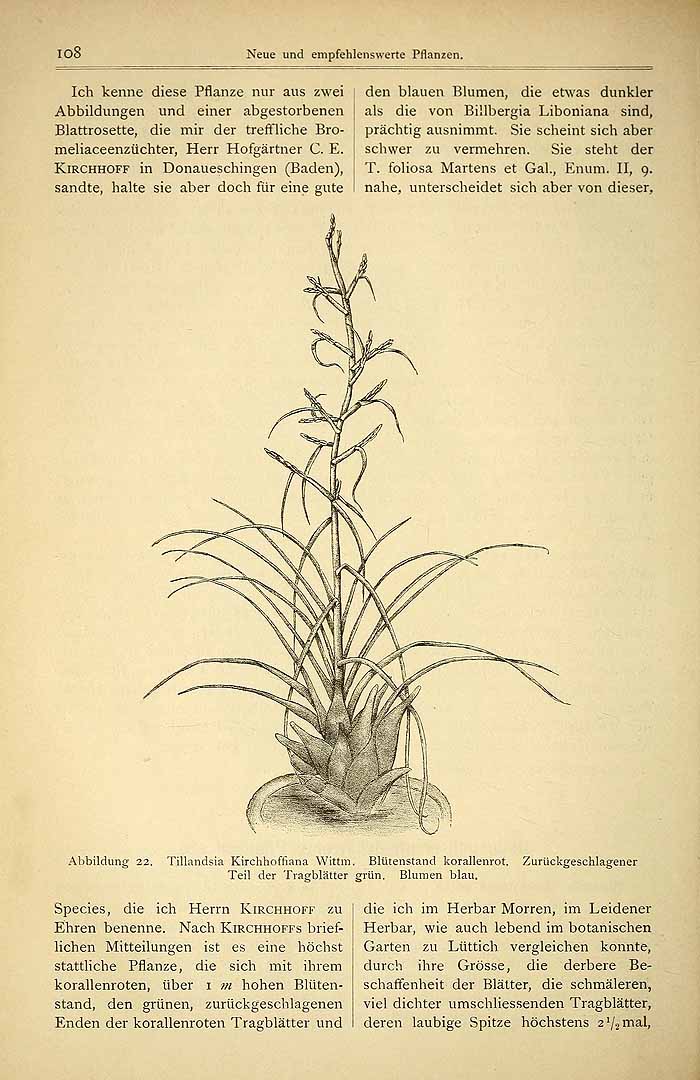 no HD illustration available (3)