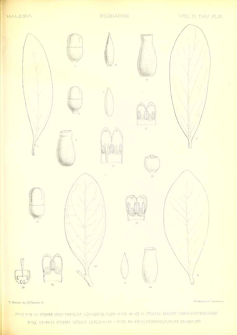 no HD illustration available (3)