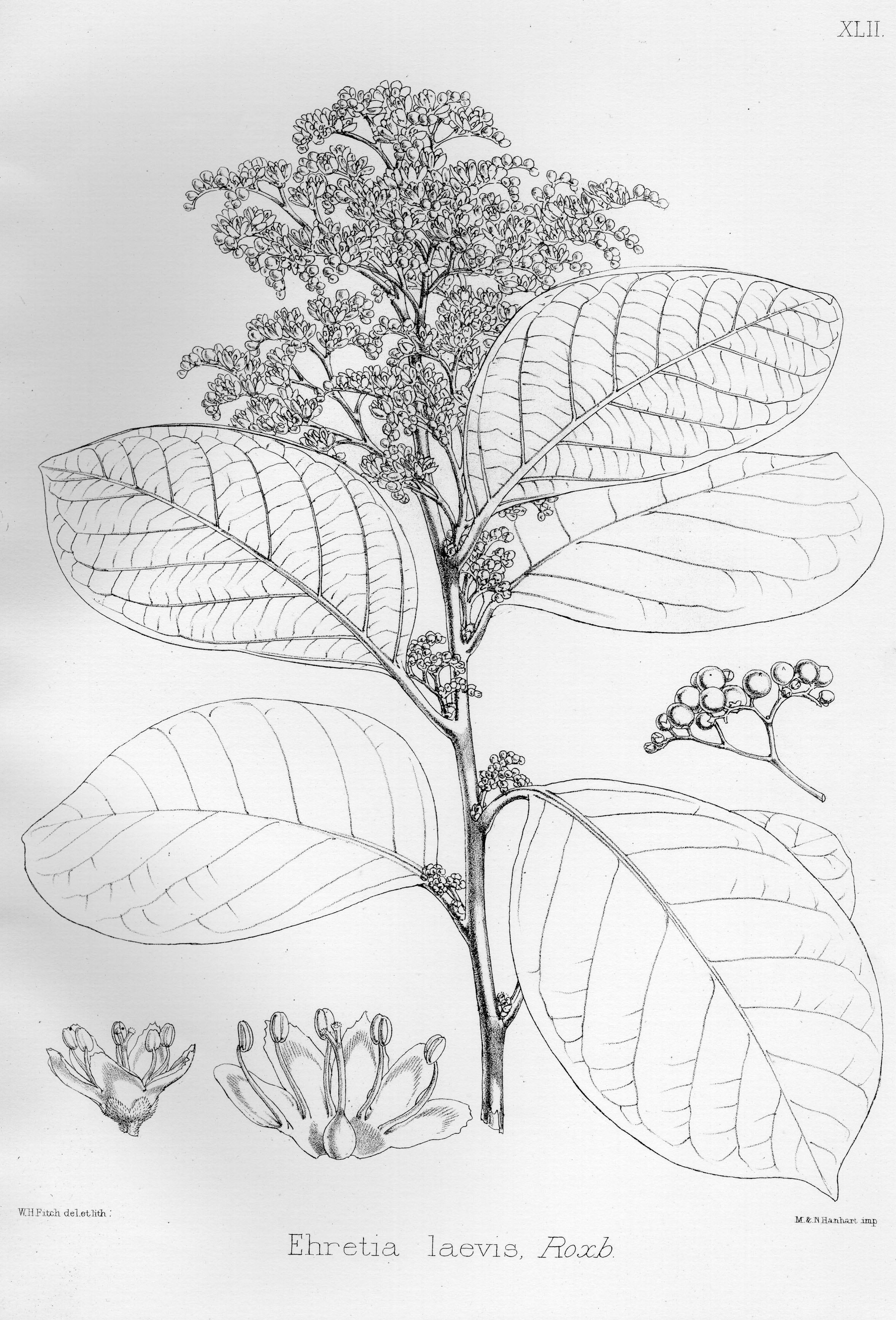 no HD illustration available (3)