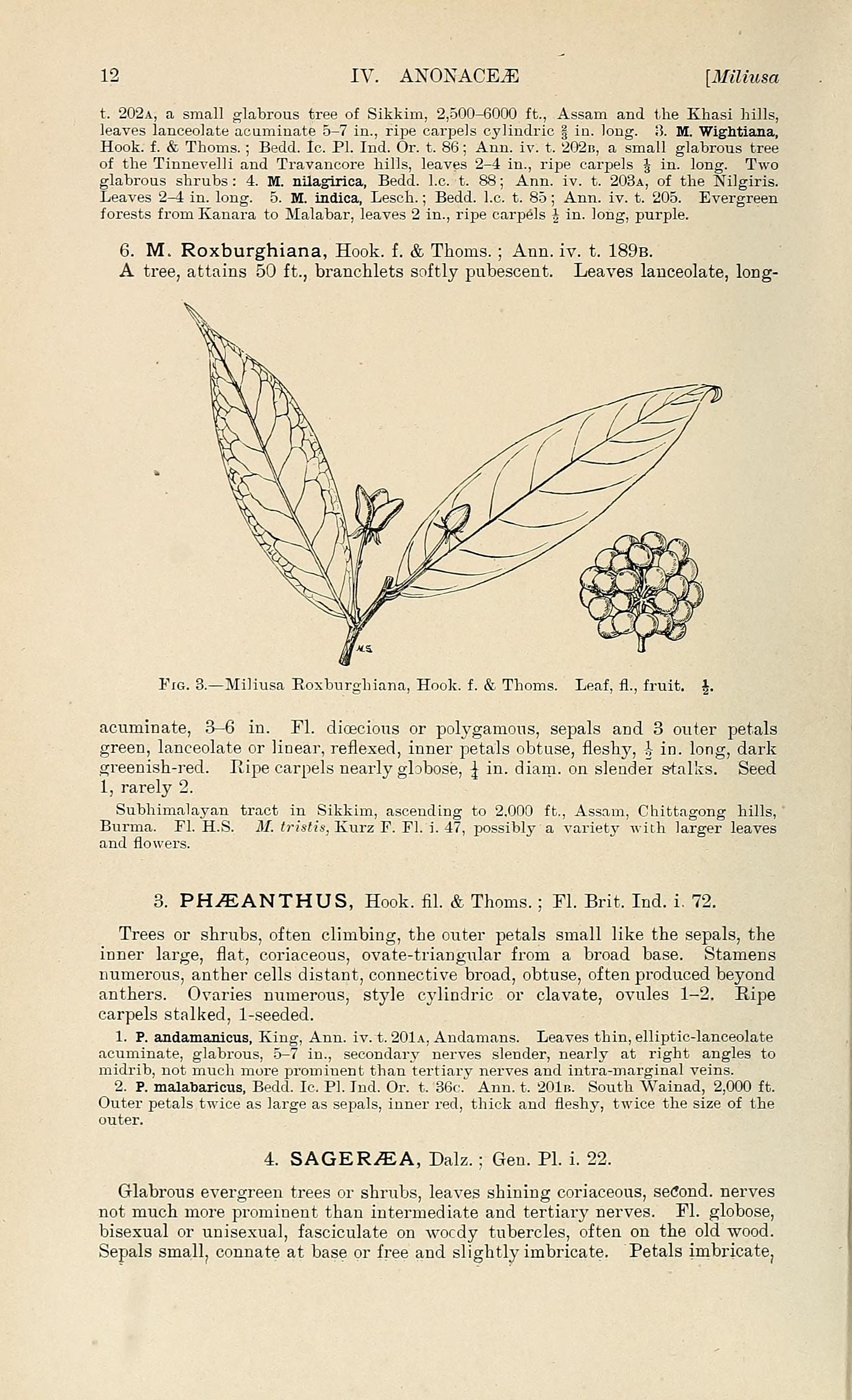 no HD illustration available (3)