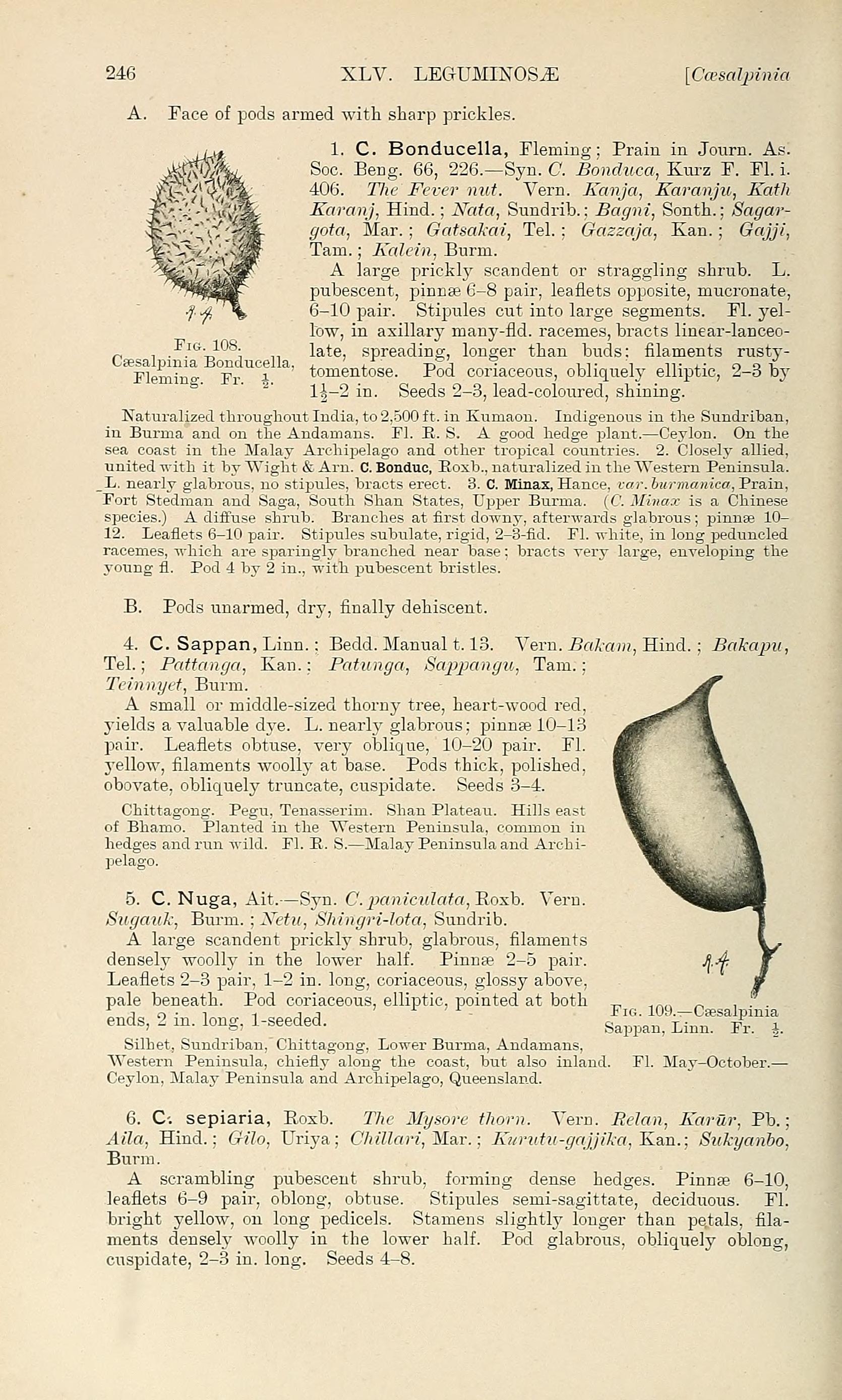 no HD illustration available (3)