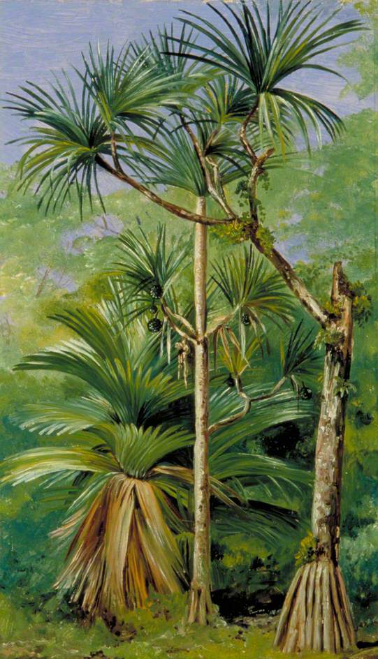 no HD illustration available (3)