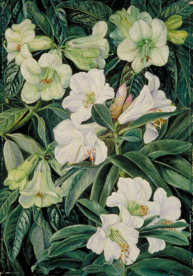 no HD illustration available (3)