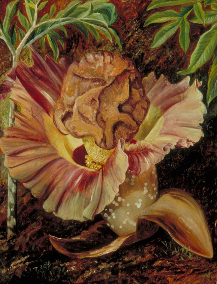 no HD illustration available (3)