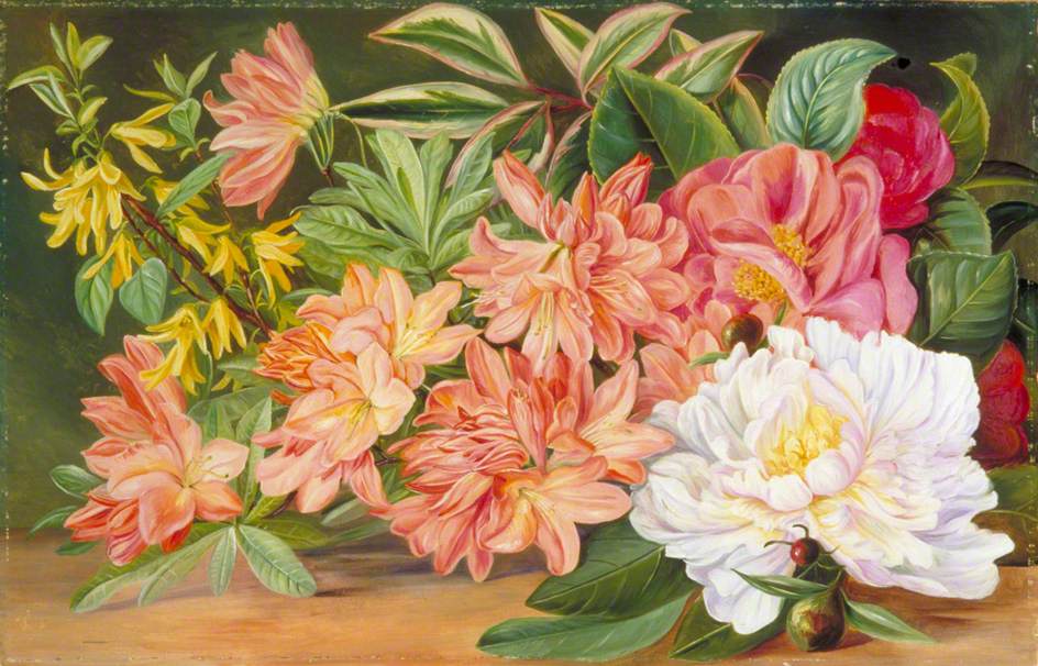 no HD illustration available (3)