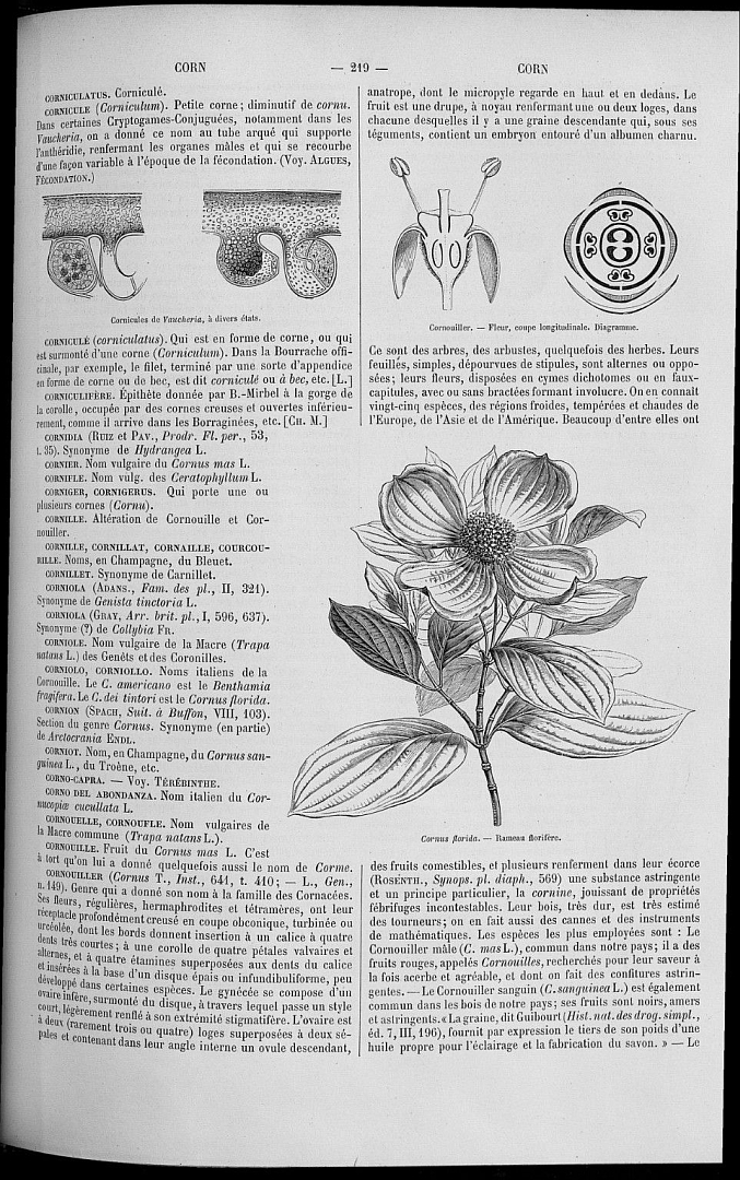 no HD illustration available (3)