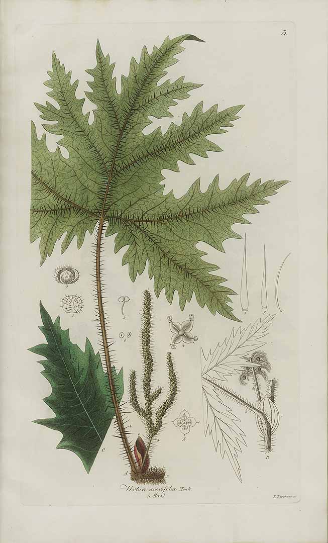 no HD illustration available (3)