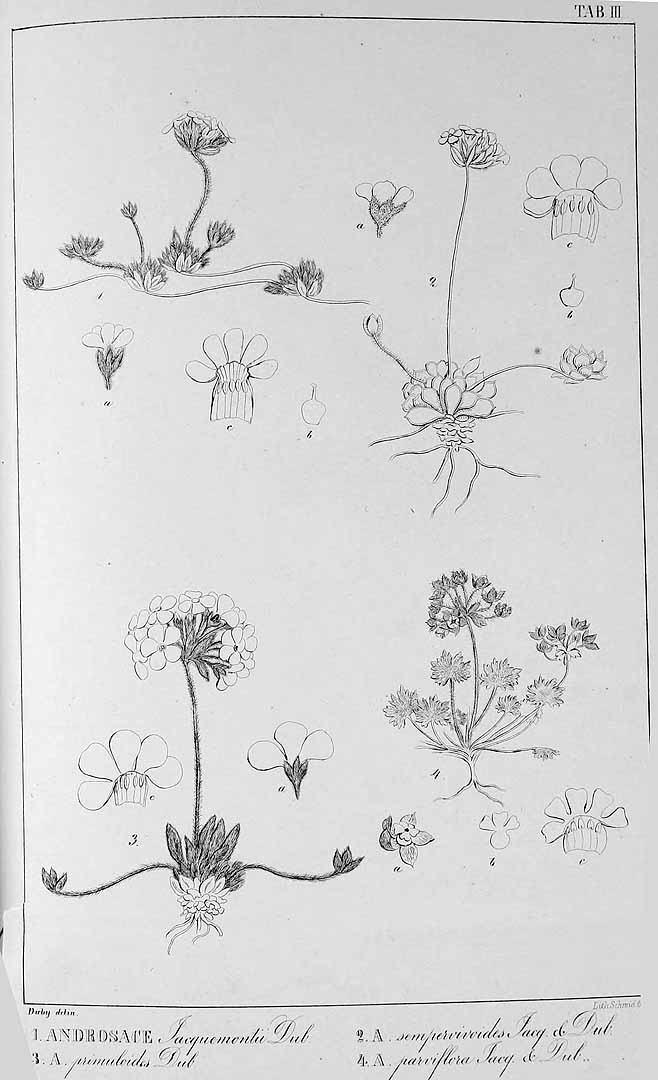 no HD illustration available (3)