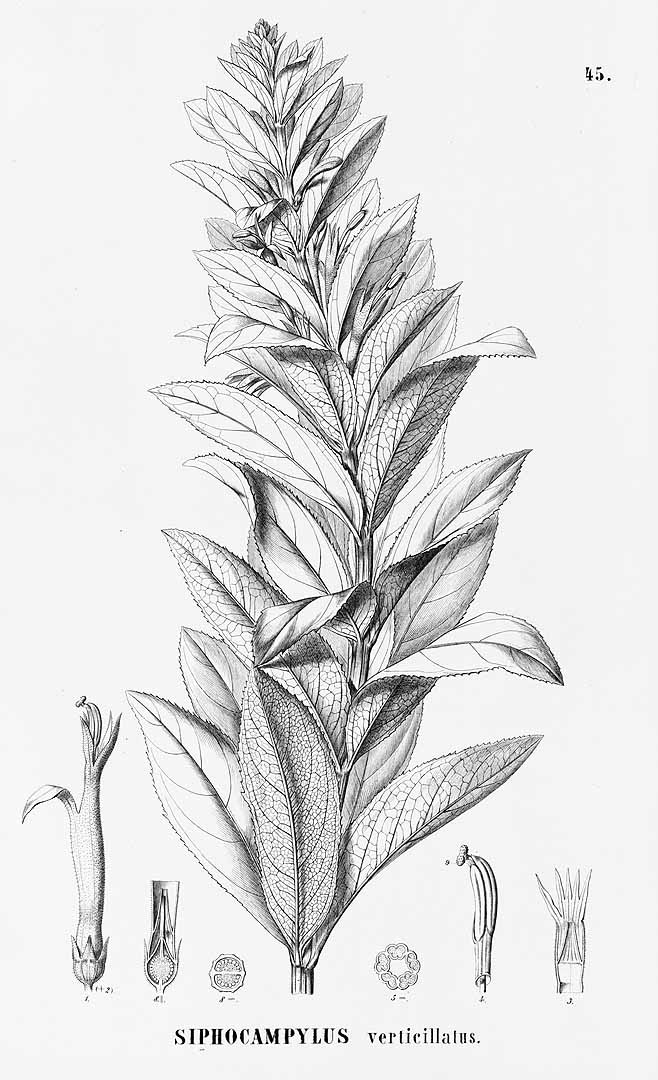 no HD illustration available (3)