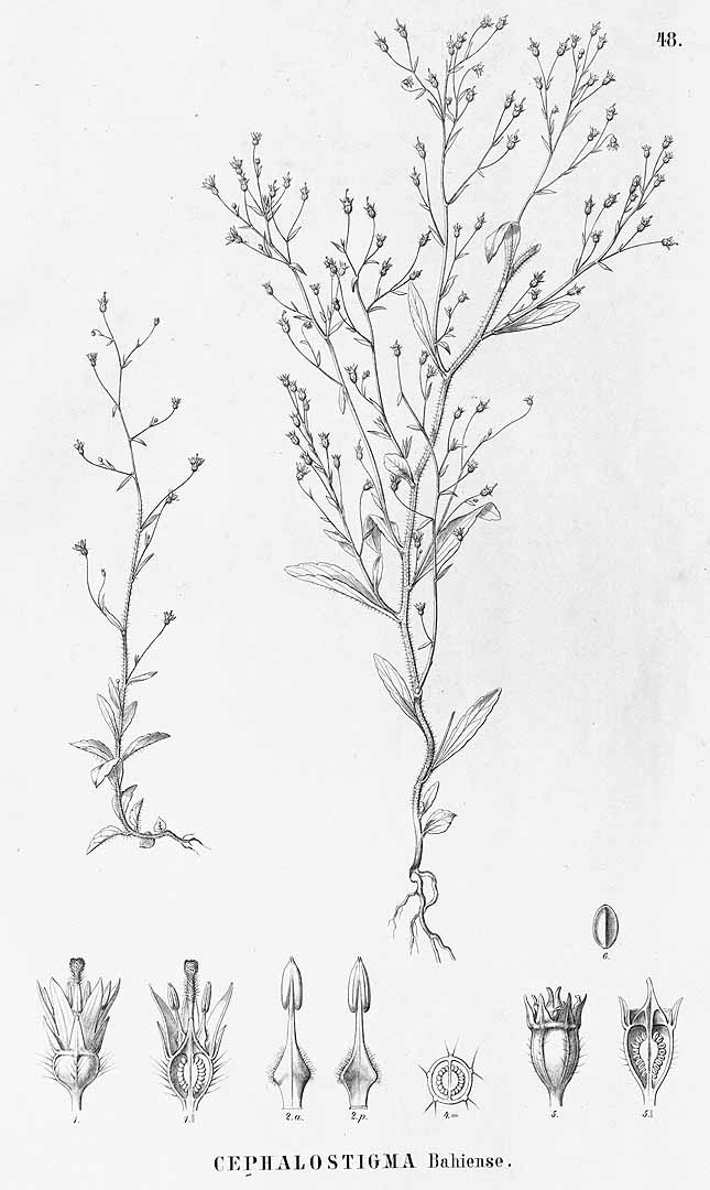 no HD illustration available (3)