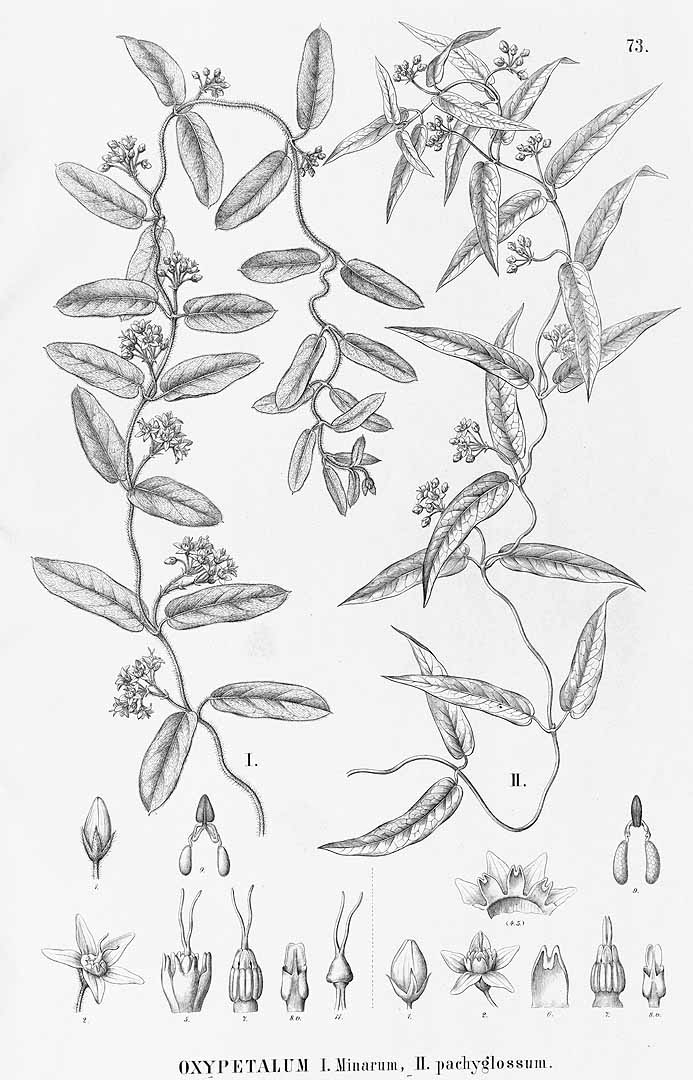 no HD illustration available (3)