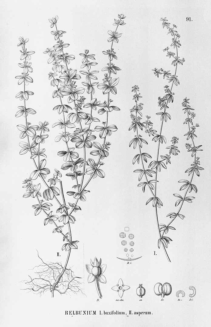 no HD illustration available (3)