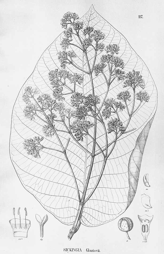 no HD illustration available (3)