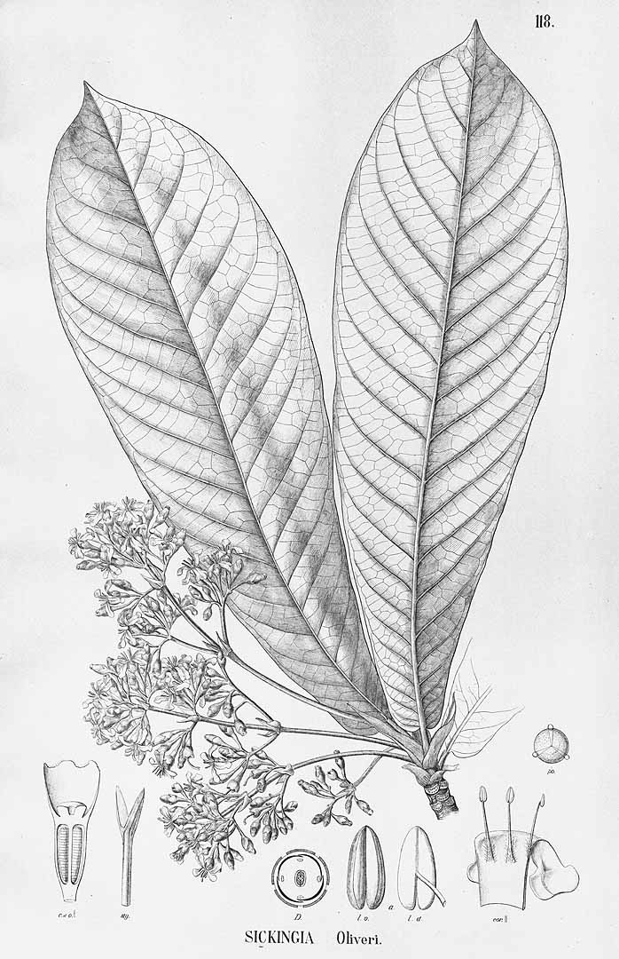 no HD illustration available (3)