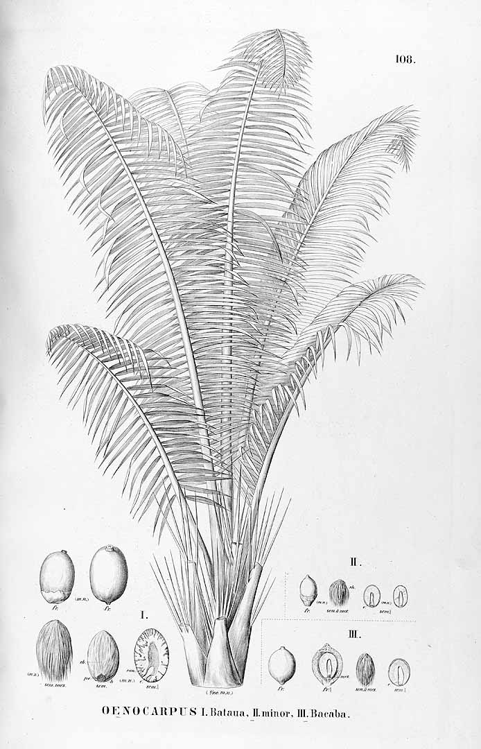 no HD illustration available (3)