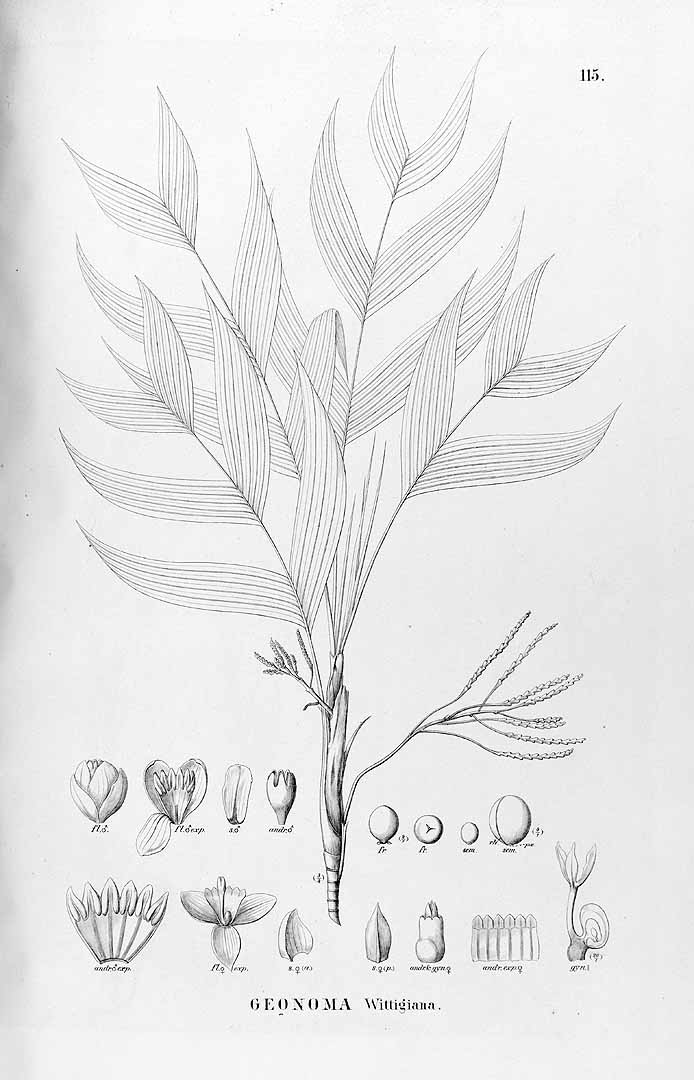 no HD illustration available (3)