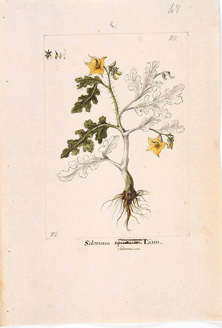 no HD illustration available (3)