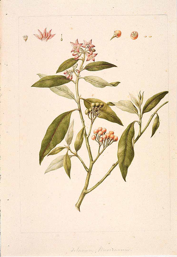 no HD illustration available (3)