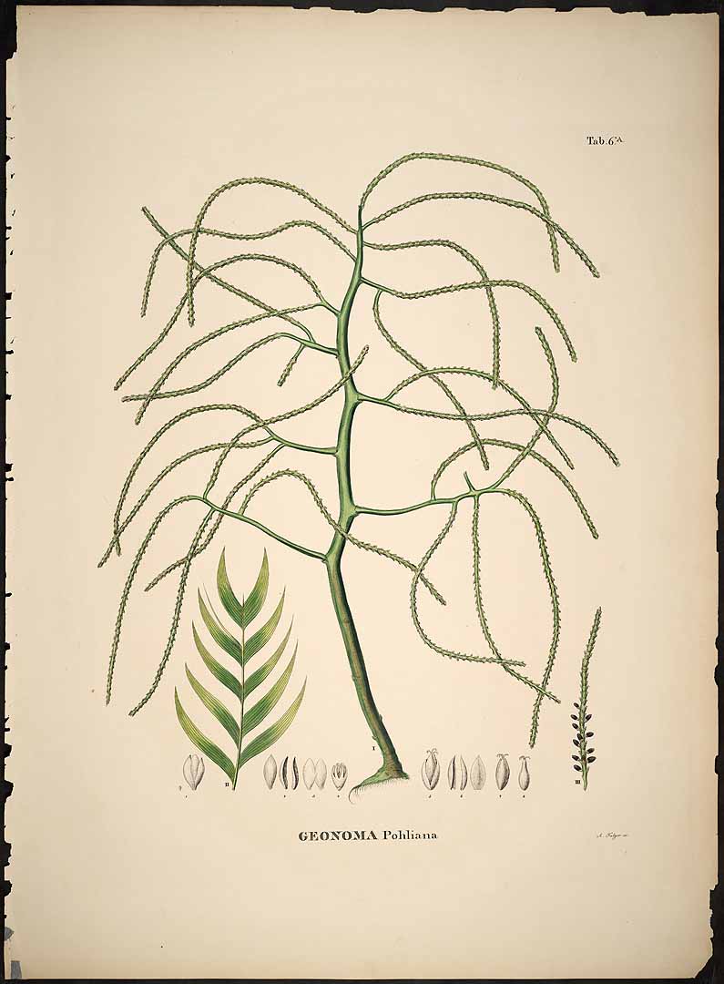 no HD illustration available (3)