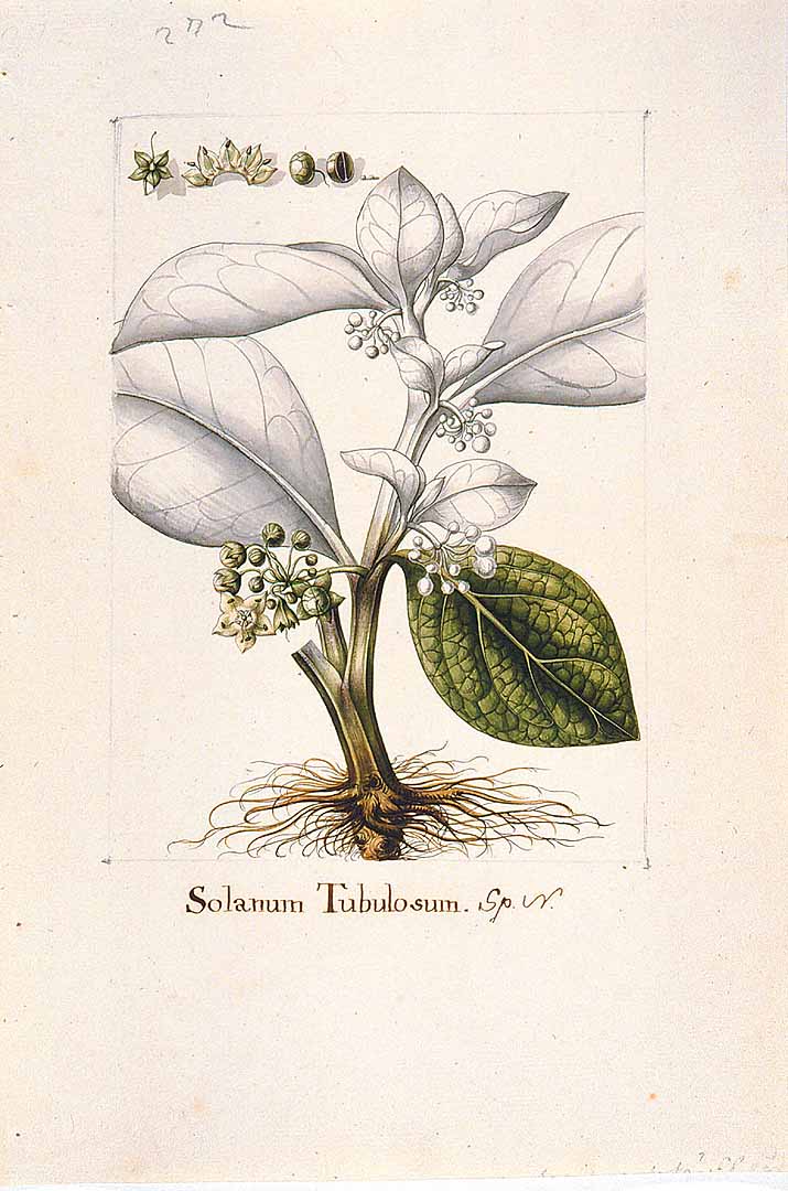 no HD illustration available (3)