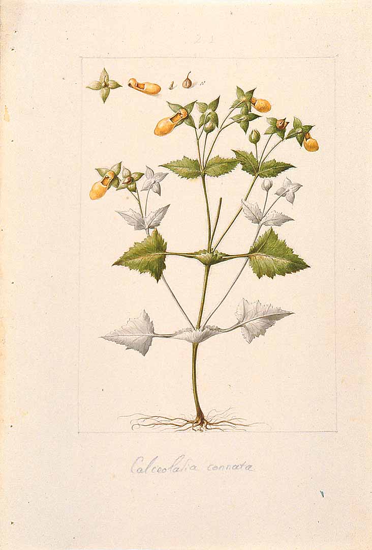 no HD illustration available (3)