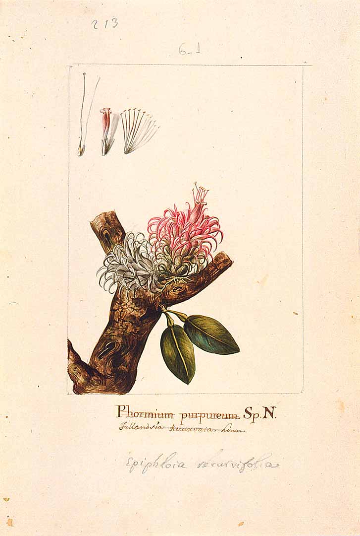 no HD illustration available (3)