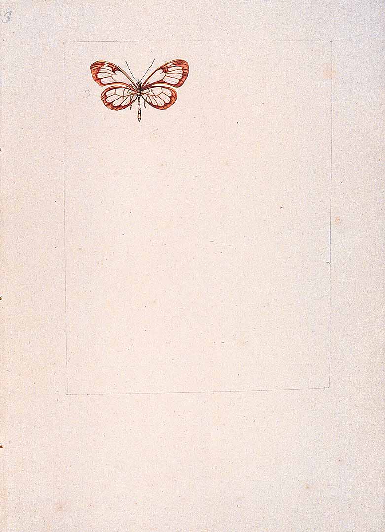 no HD illustration available (3)