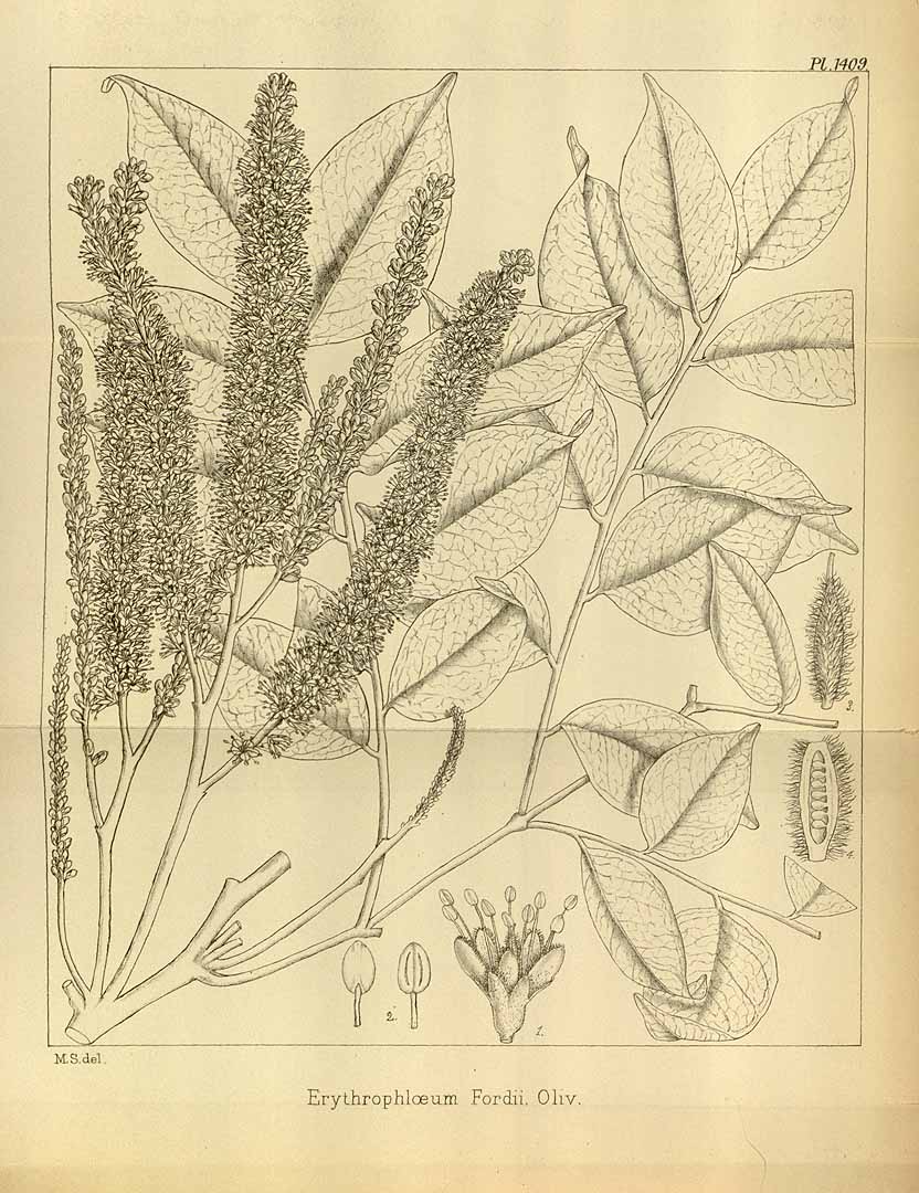 no HD illustration available (3)