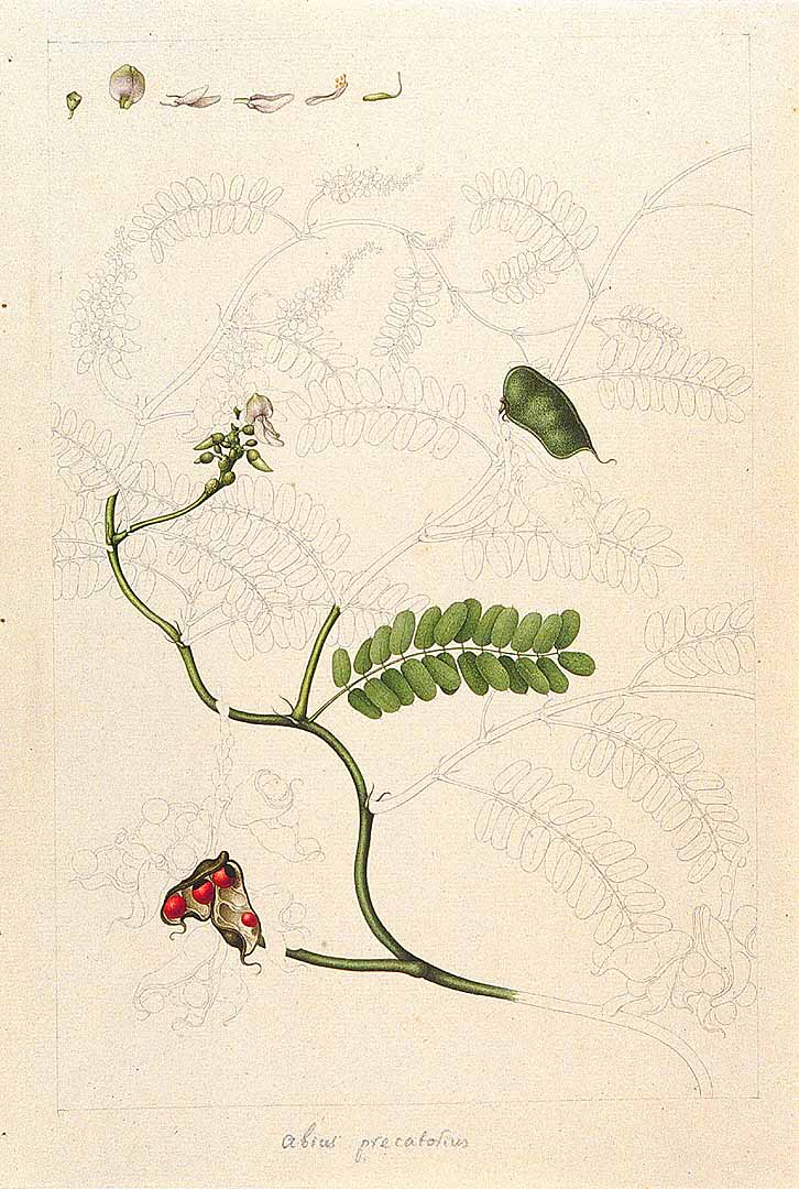 no HD illustration available (3)