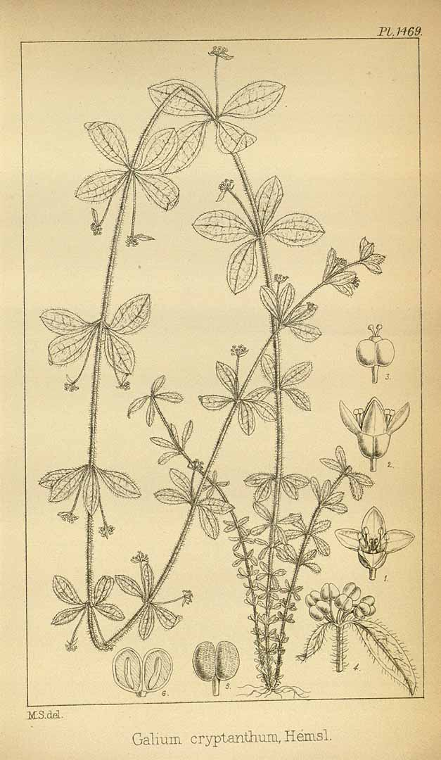 no HD illustration available (3)