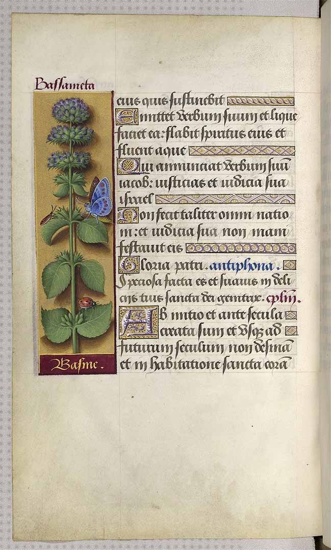 no HD illustration available (3)