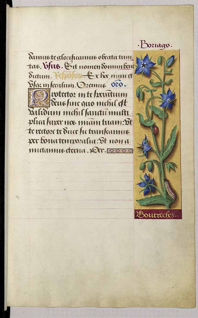 no HD illustration available (3)