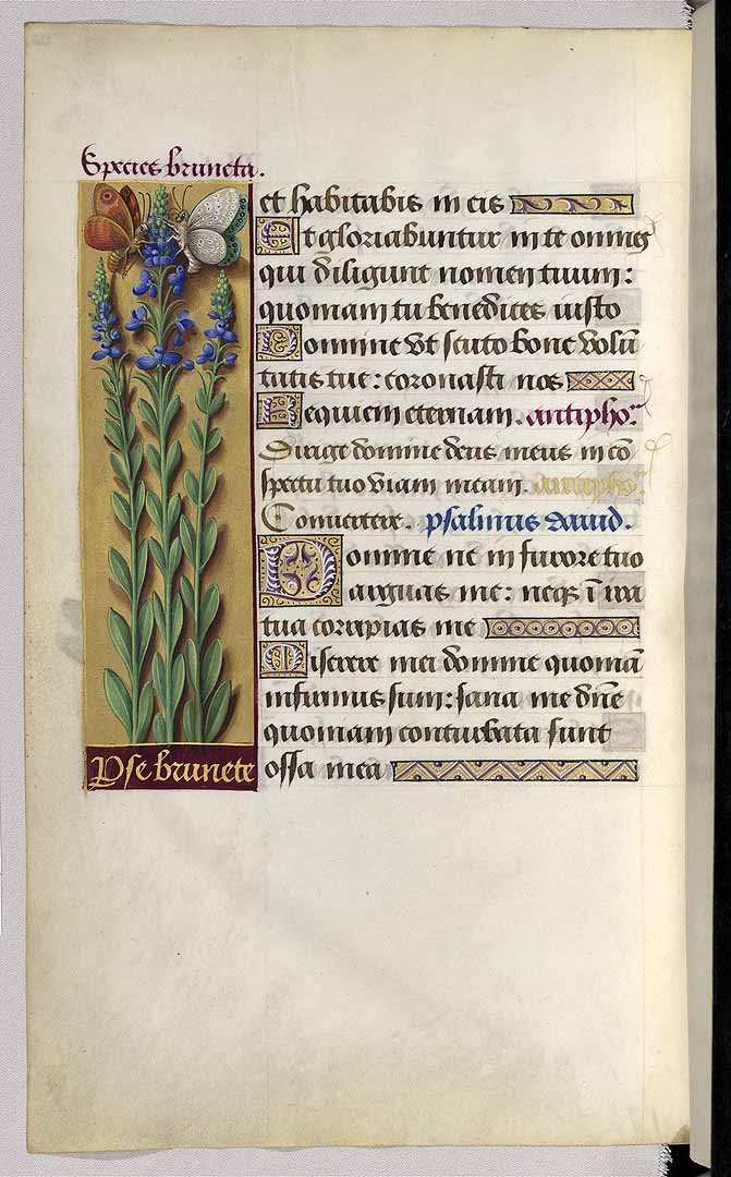 no HD illustration available (3)