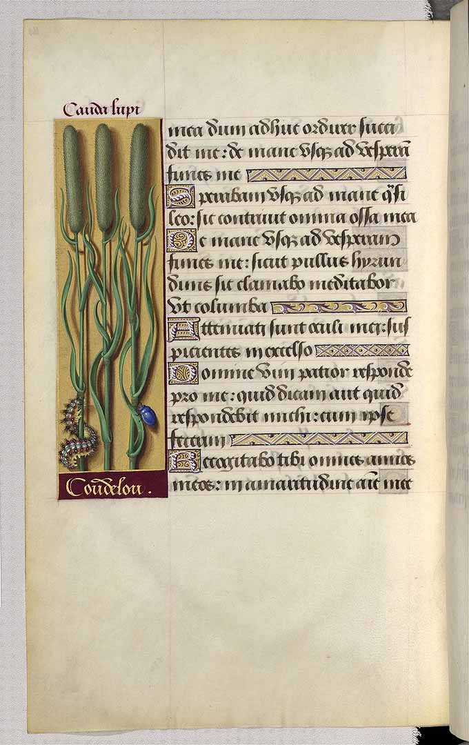 no HD illustration available (3)