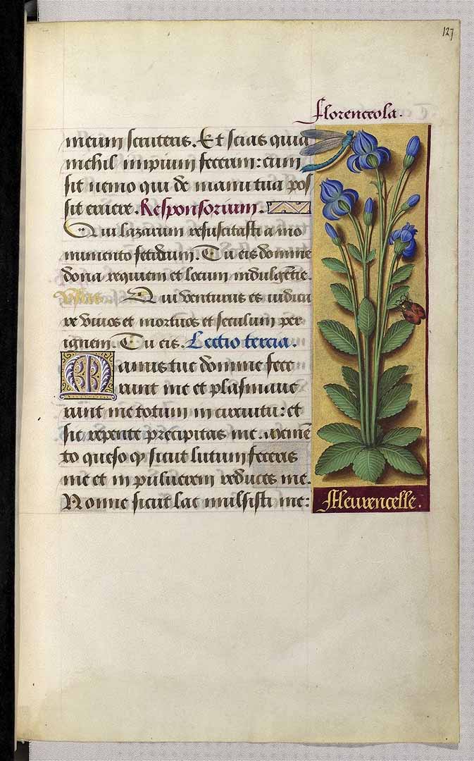 no HD illustration available (3)