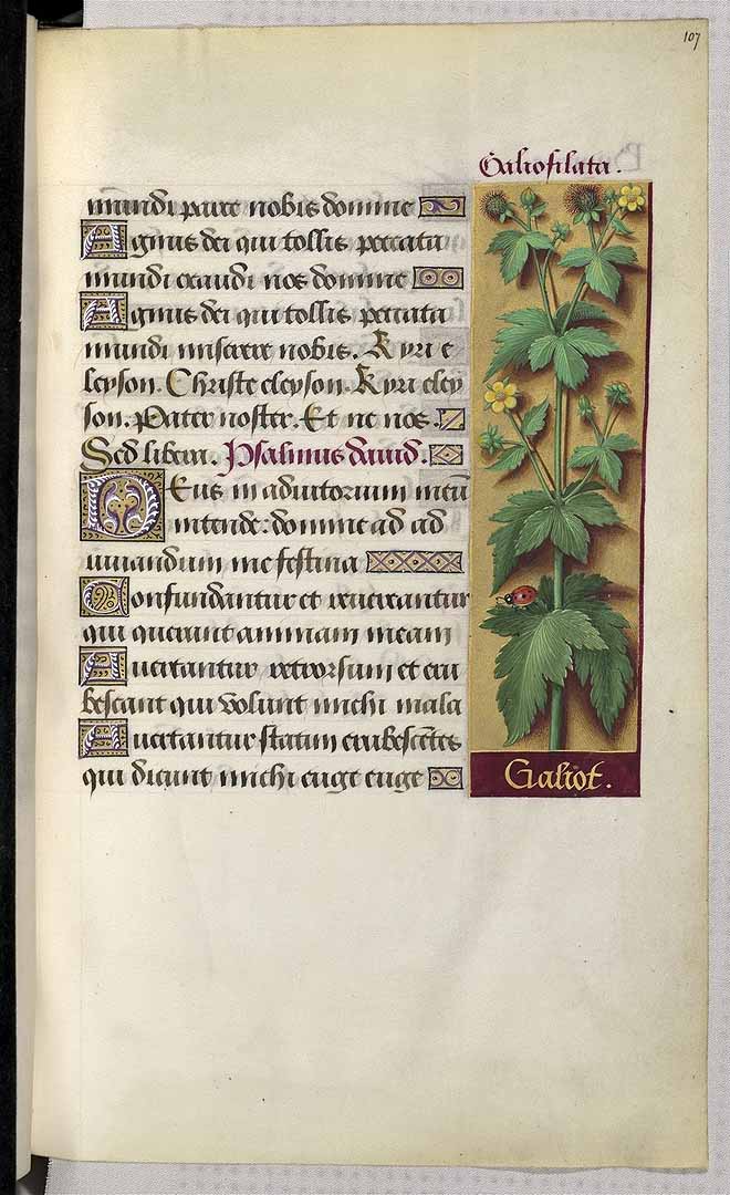 no HD illustration available (3)