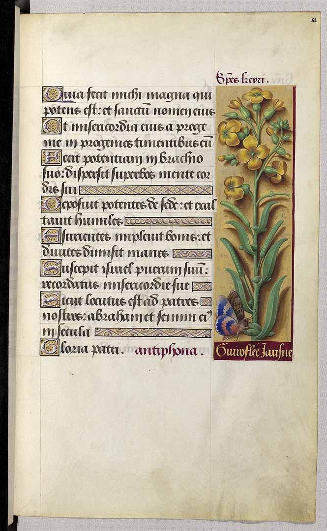 no HD illustration available (3)