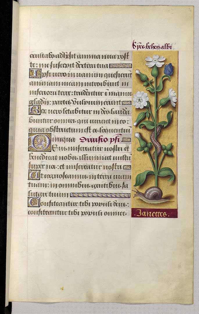 no HD illustration available (3)