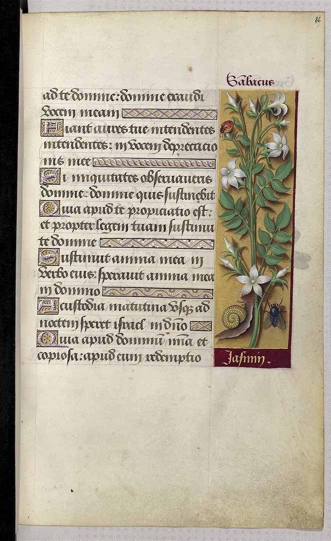 no HD illustration available (3)