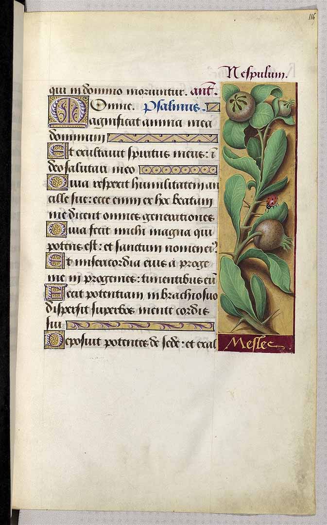 no HD illustration available (3)